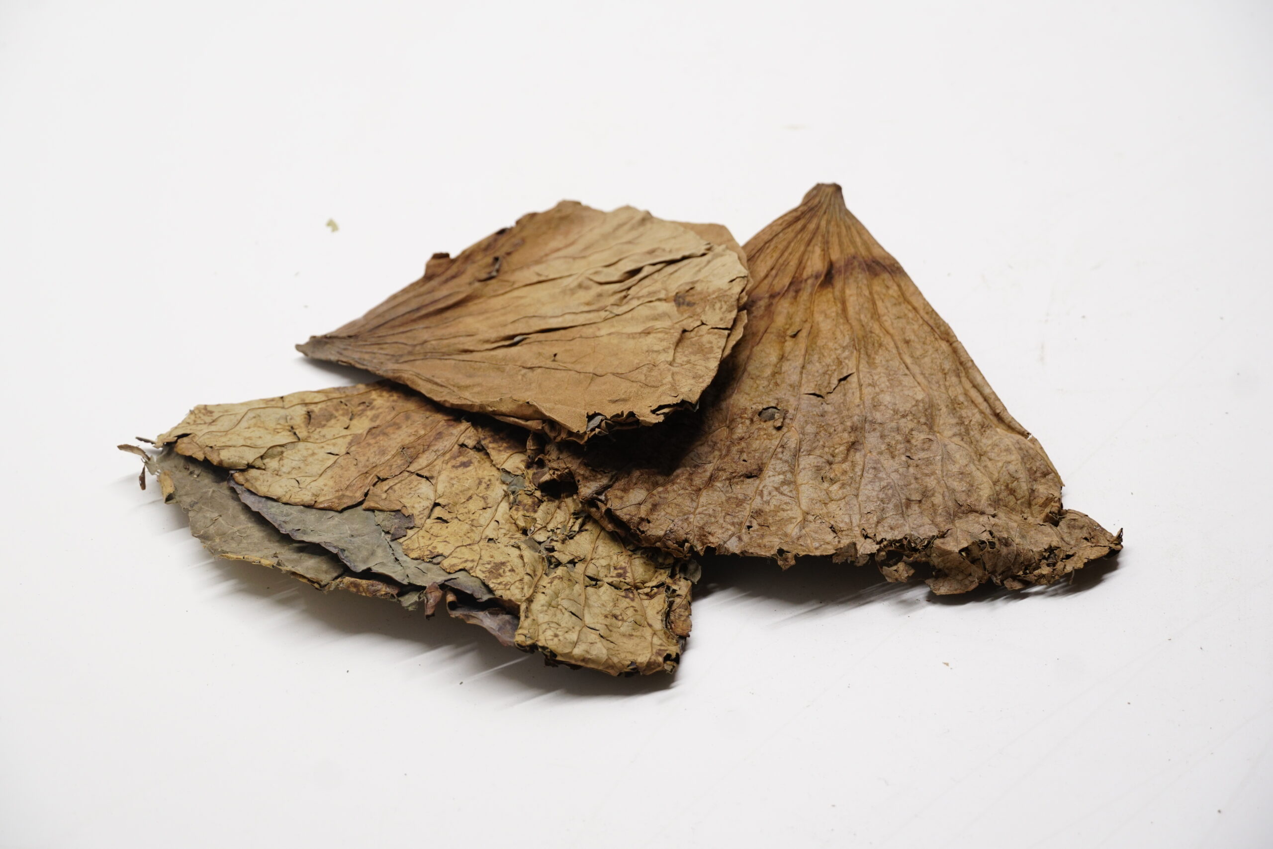 Lotusblätter 50g