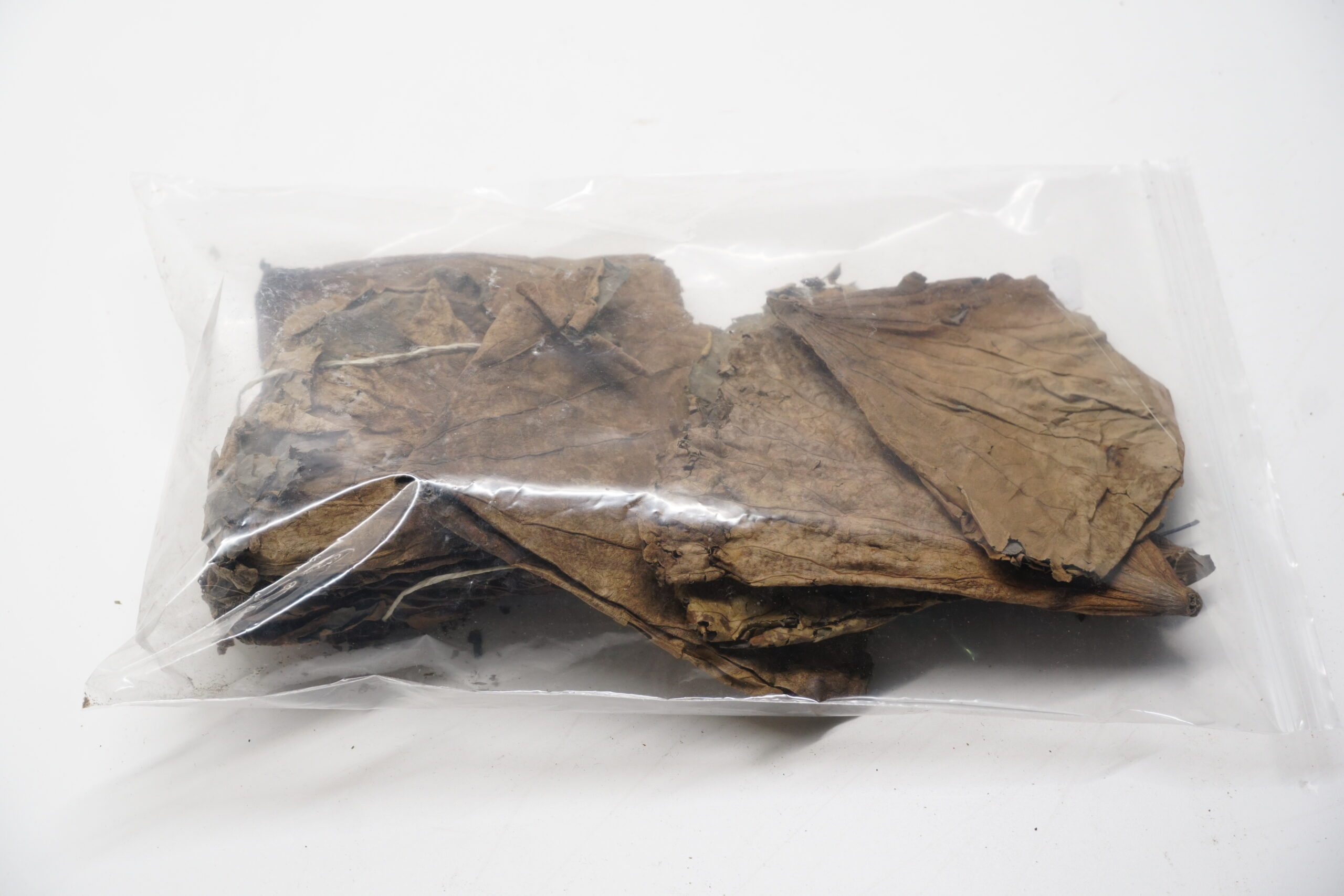 Lotusblätter 50g – Bild 2