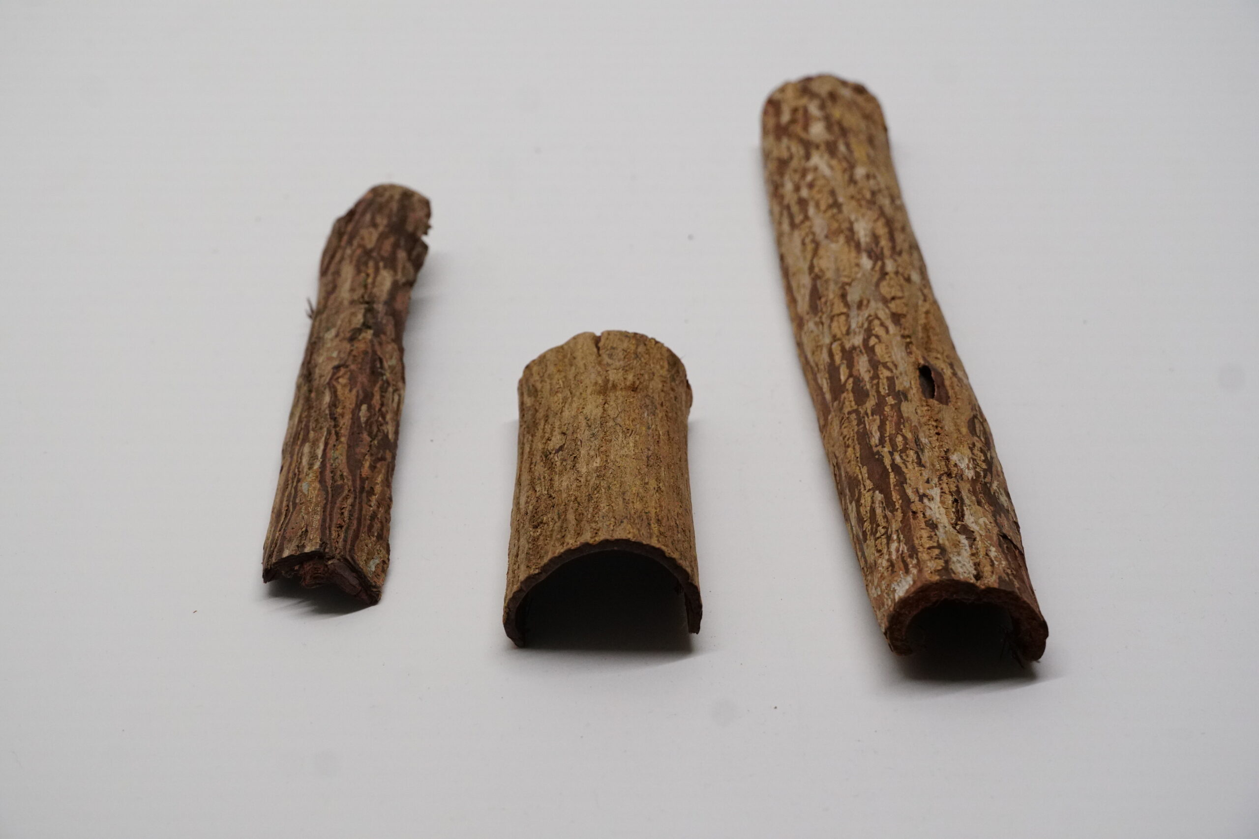 Seemandelbaum Halbröhre 3er Set – Bild 3