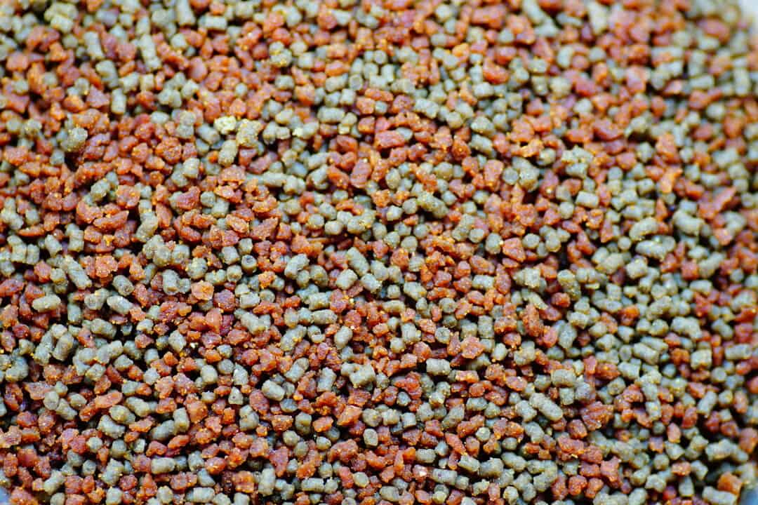 Fishtopia All 4 Fish Softgranulat – Premium Zierfischfutter 175g – Bild 2