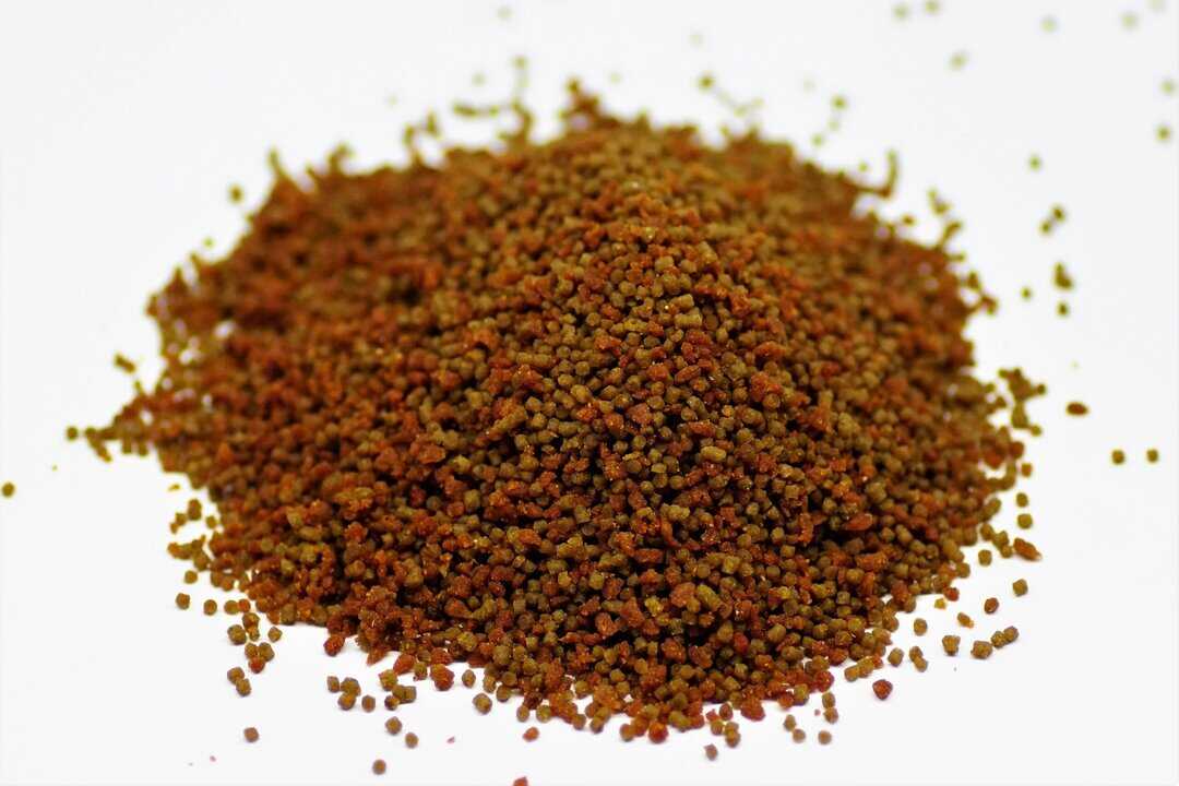 Fishtopia All 4 Fish Softgranulat – Premium Zierfischfutter 175g – Bild 4