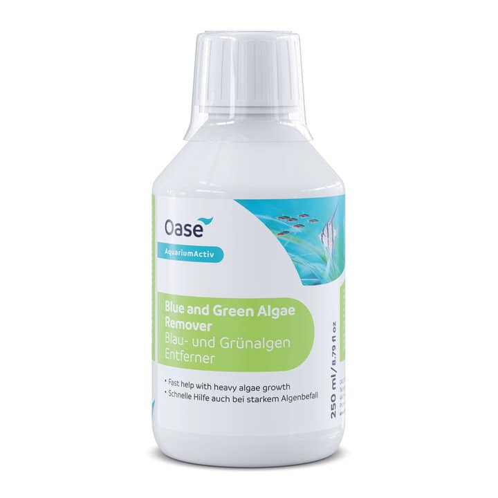 Oase Blau- und Grünalgen Entferner