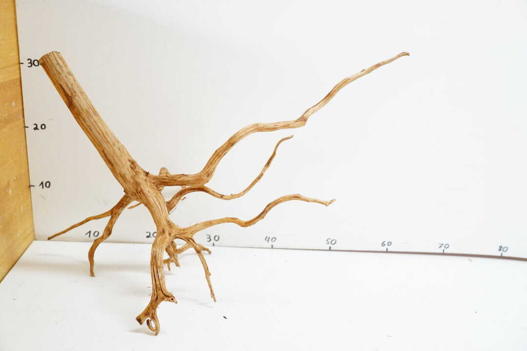 Red Spider Wood 2 – Bild 2