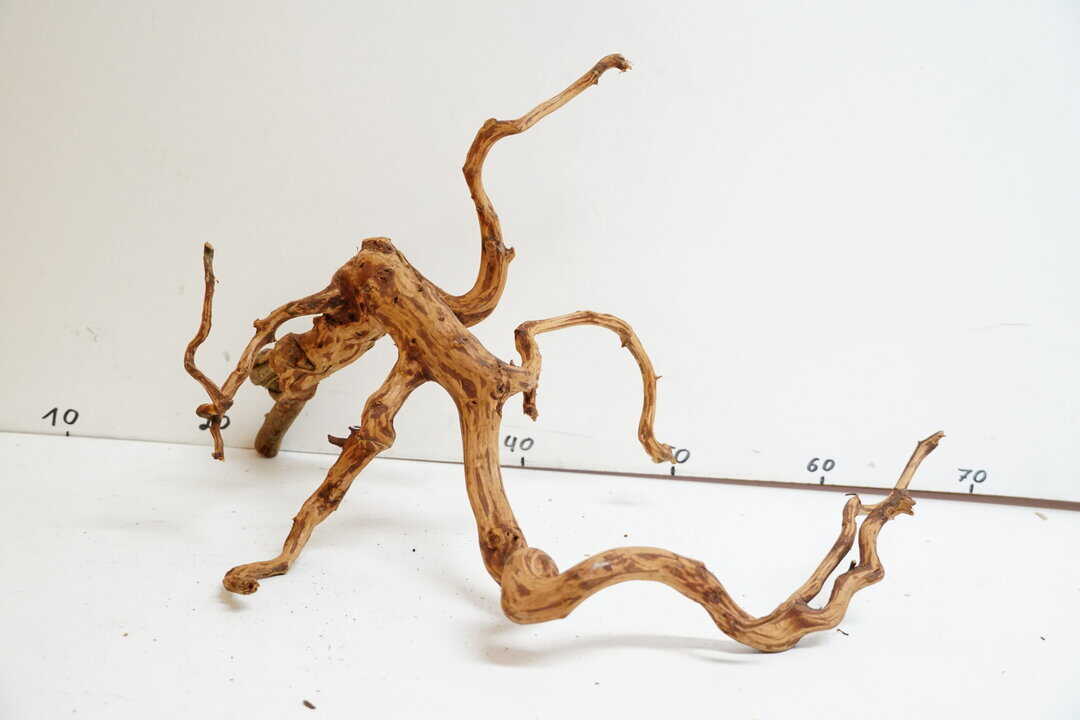 Red Spider Wood 7 – Bild 3