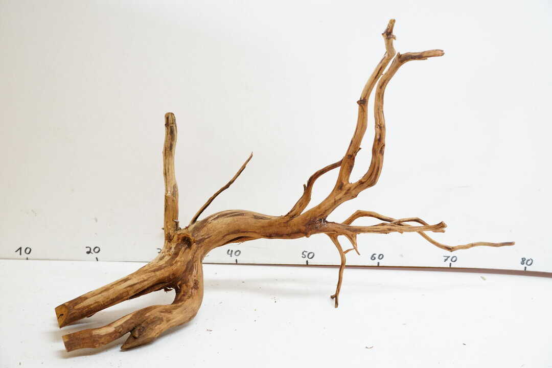 Red Spider Wood 8 – Bild 2
