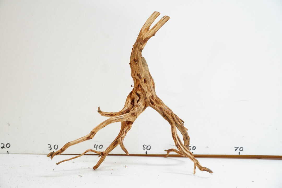 Red Spider Wood 9