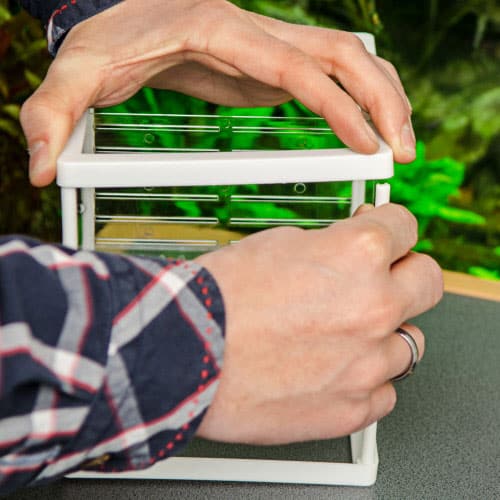 Hobby Nido 3.1 - Netz-Ablaichbehälter – Bild 5
