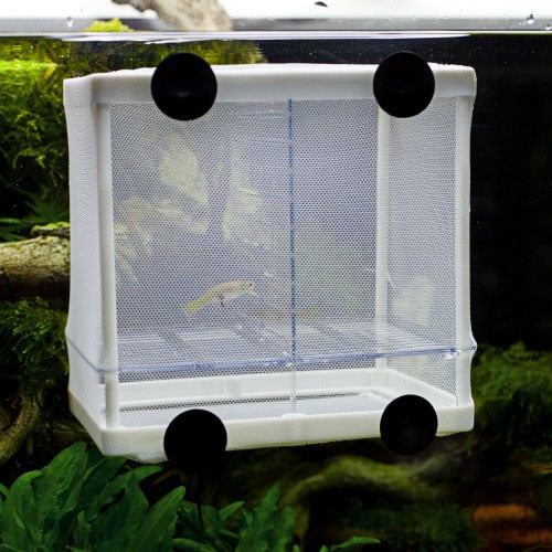 Hobby Nido 3.1 - Netz-Ablaichbehälter – Bild 2