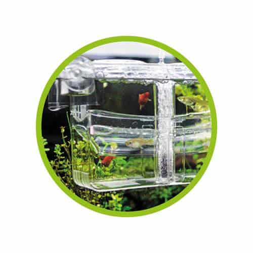 Hobby Nido 4 - Ablaichbecken mit Luftversorgung – Bild 5