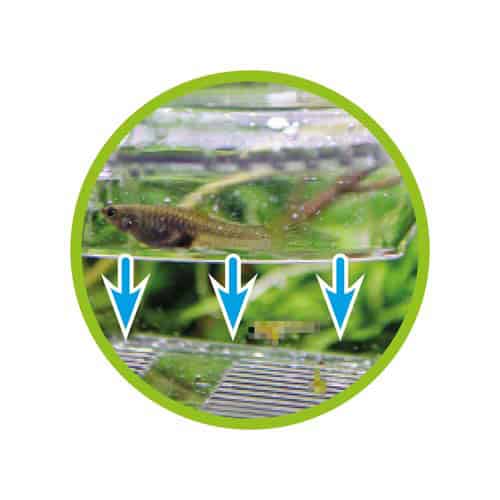 Hobby Nido 4 - Ablaichbecken mit Luftversorgung – Bild 3