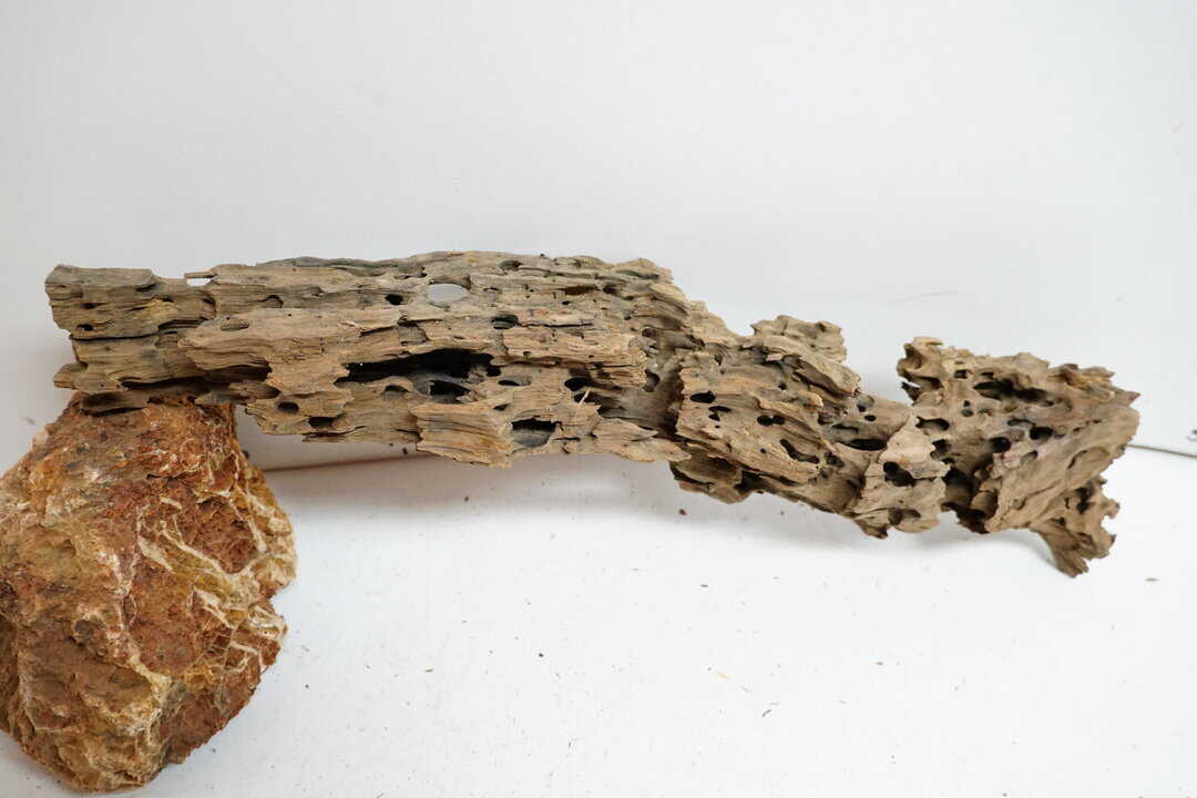 Honey Comb XL - Wabenholz – Bild 4