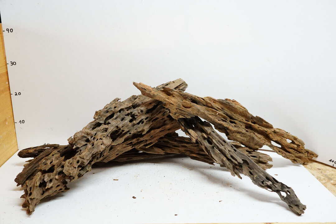 Honey Comb XL - Wabenholz – Bild 2