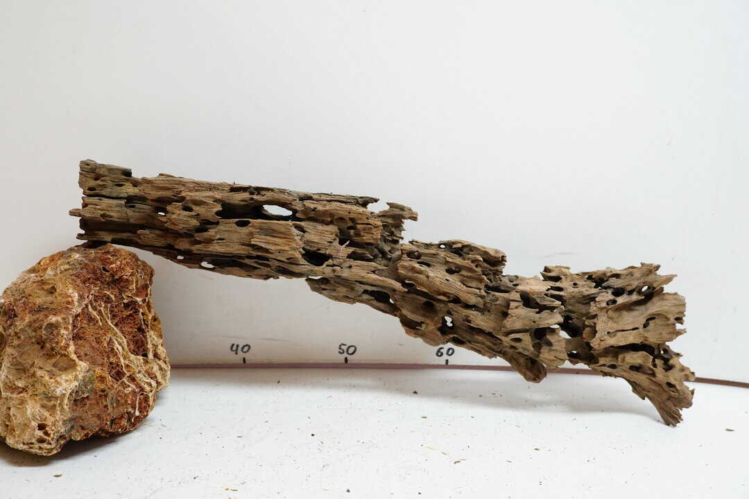 Honey Comb XL - Wabenholz
