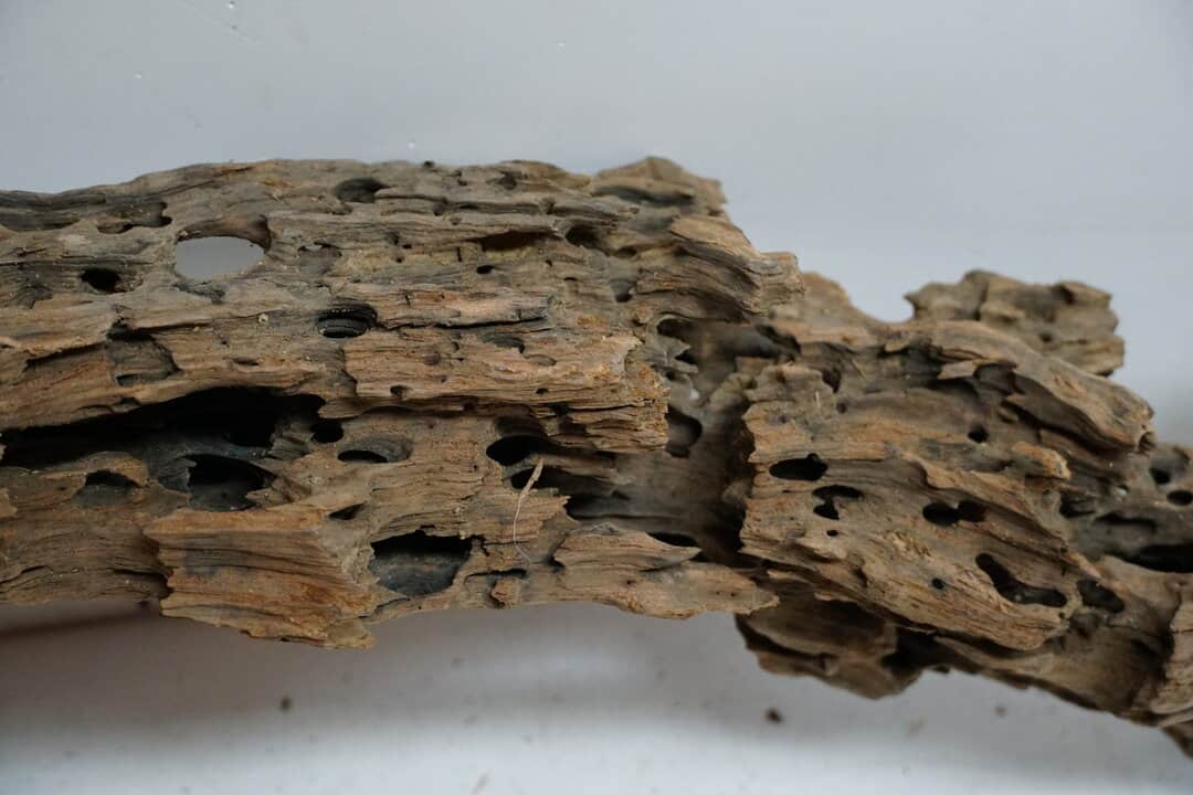 Honey Comb XL - Wabenholz – Bild 3