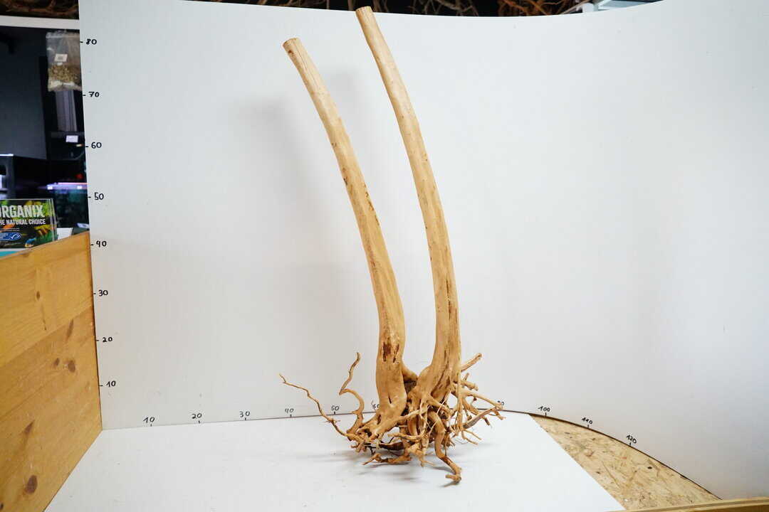 Stumpwood 2 – Bild 3