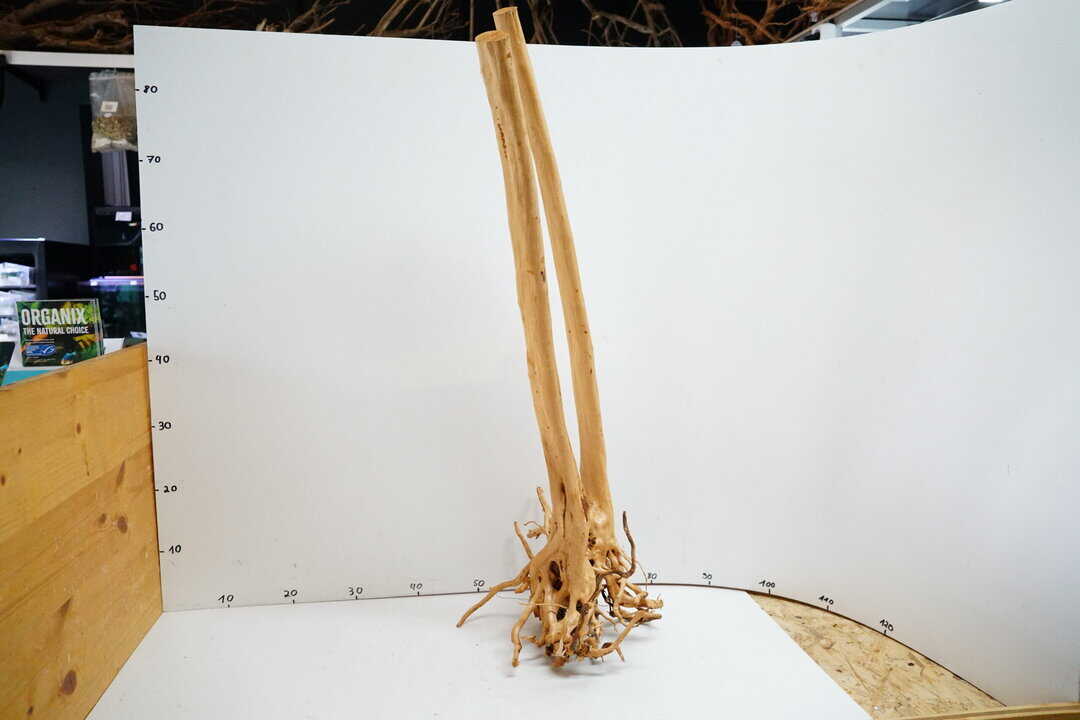 Stumpwood 2 – Bild 2