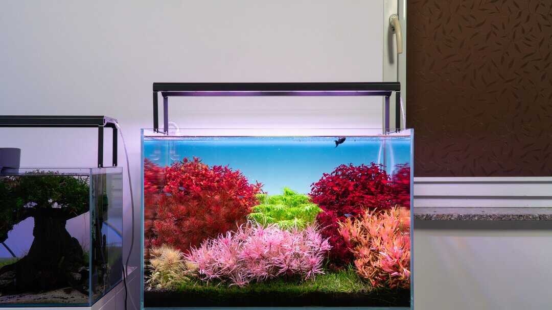 Skylight Hyperbar F WRGB - Aquarium LED – Bild 6