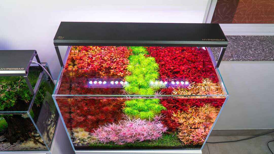 Skylight Hyperbar F WRGB - Aquarium LED – Bild 10