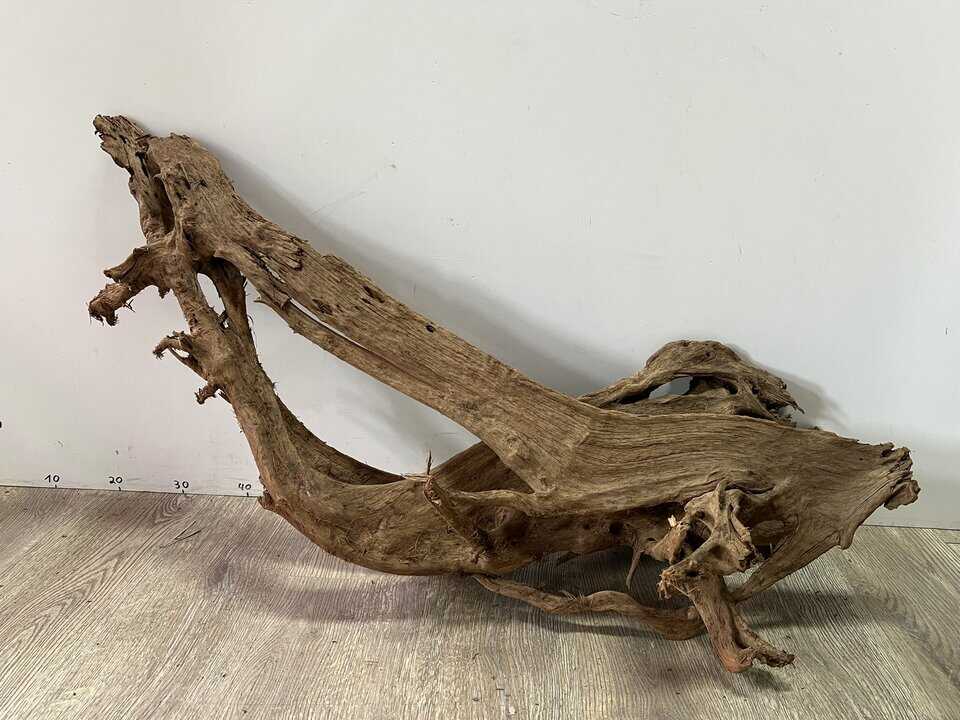 Mangrovenwurzel XL4