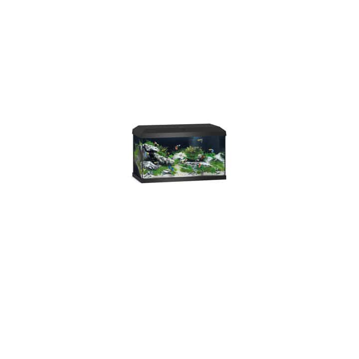 Juwel Primo 60 2.0 LED SBX Komplettaquarium schwarz inkl. 10€ Gutschein – Bild 2