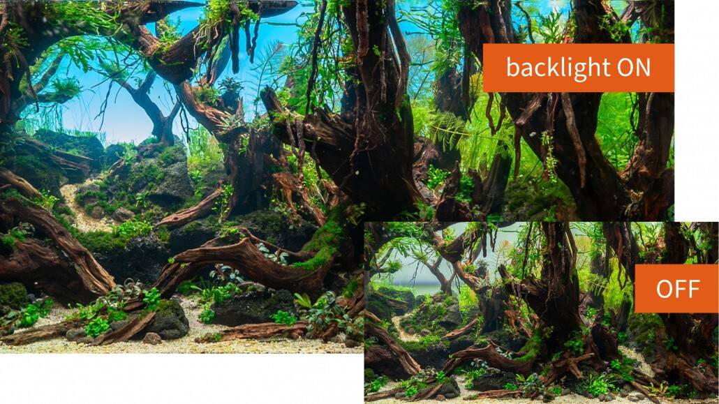 LED Backlight Daytime für Eheim Aquarien – Bild 3