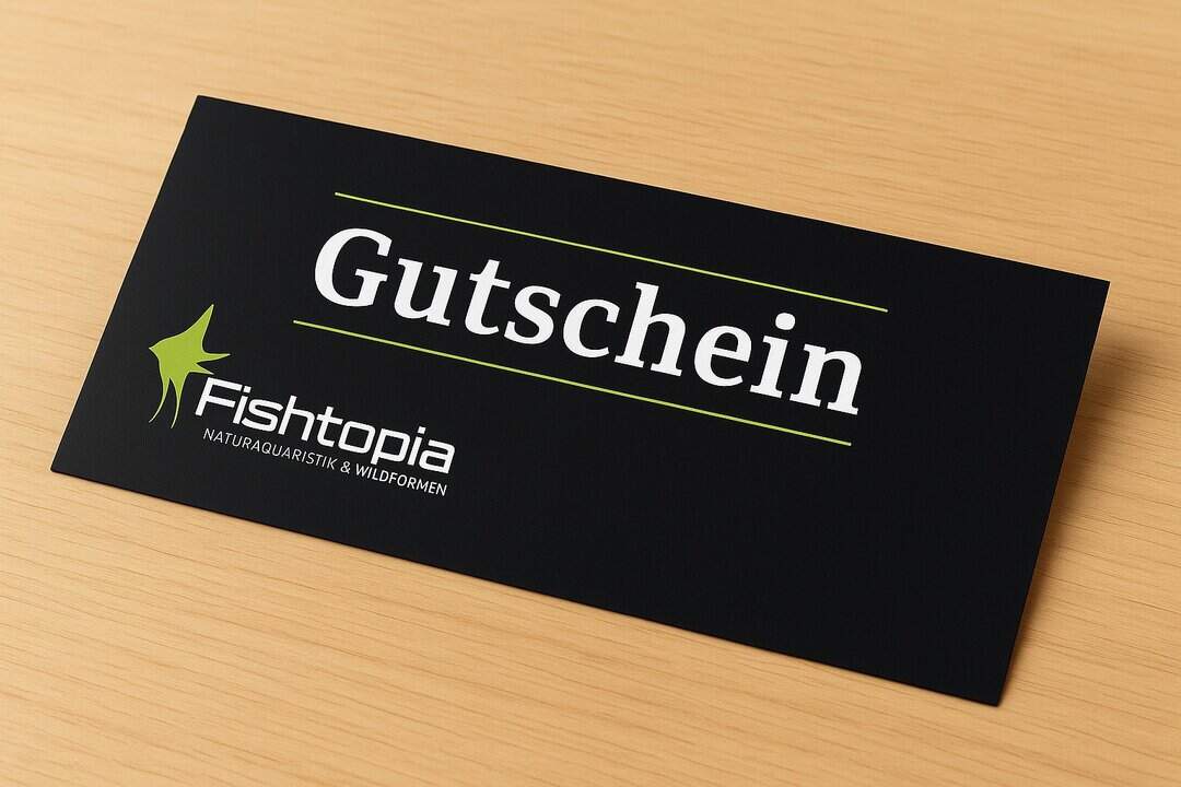 Fishtopia Gutschein